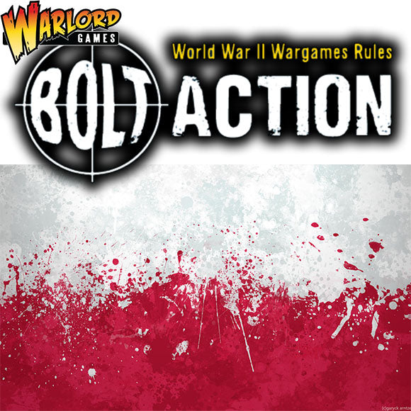 Bolt Action - Poland (Used)