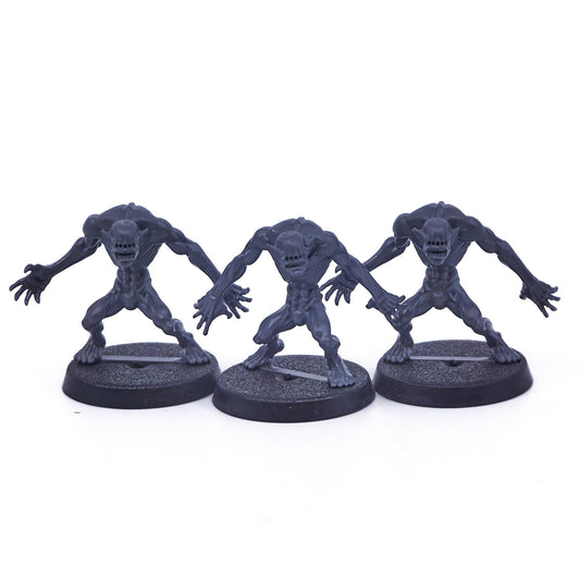 Drukhari - Ur-Ghuls (04887) - Used