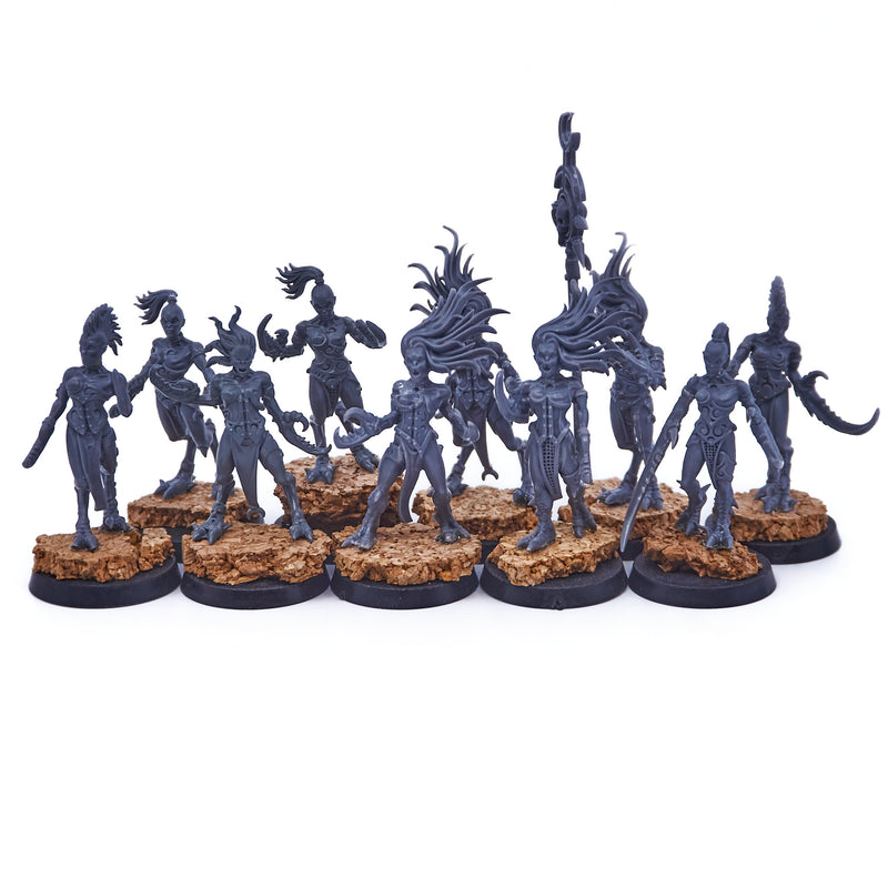 Hedonites of Slaanesh - Daemonettes of Slaanesh (04986) - Used