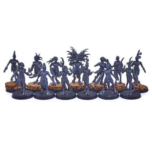 Hedonites of Slaanesh - Daemonettes of Slaanesh (04988) - Used