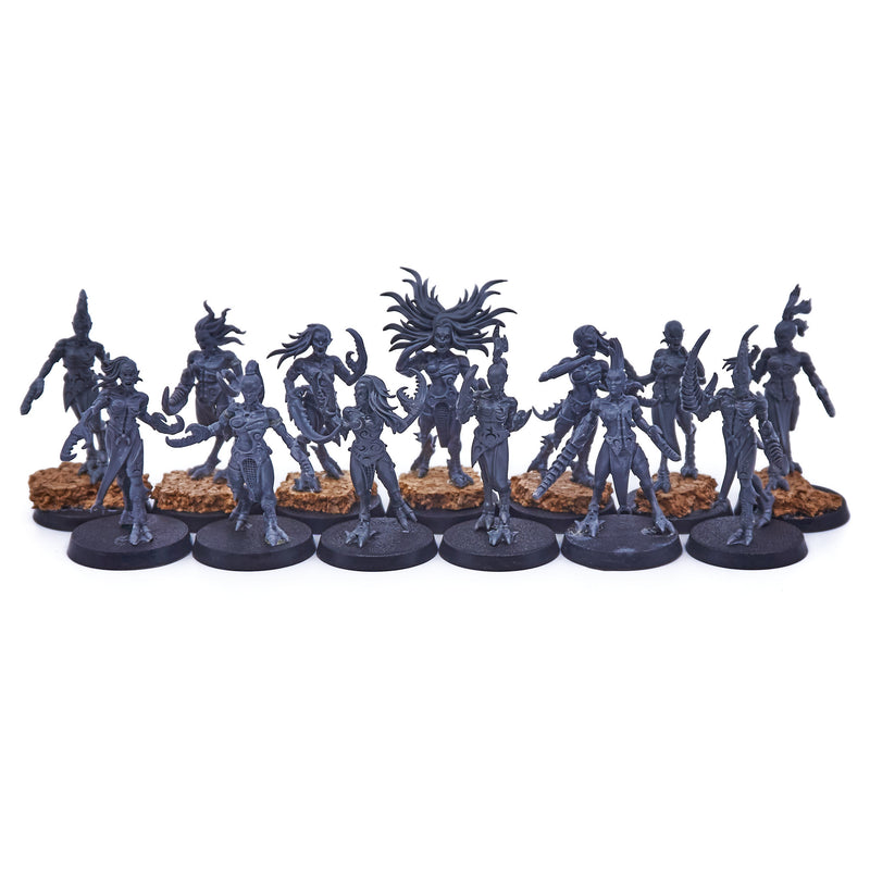 Hedonites of Slaanesh - Daemonettes of Slaanesh (04988) - Used