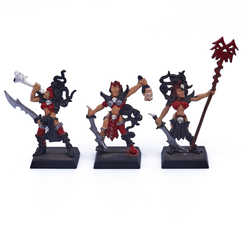 Dark Elves - Witch Elves Command (Metal) (05281) - Used