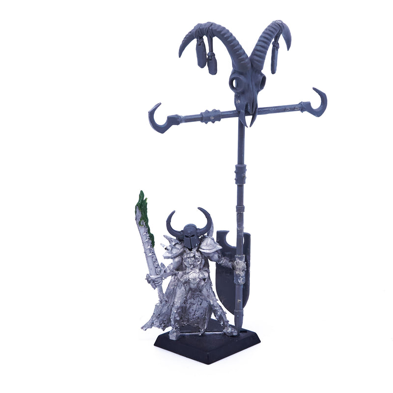 Warriors of Chaos - Chaos Lord (Converted) (Metal) (06389) - Used