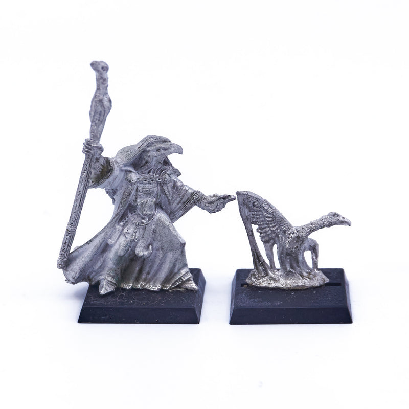 Warriors of Chaos - Tzeentch Chaos Lord with Familiar (Metal) (06394) - Used