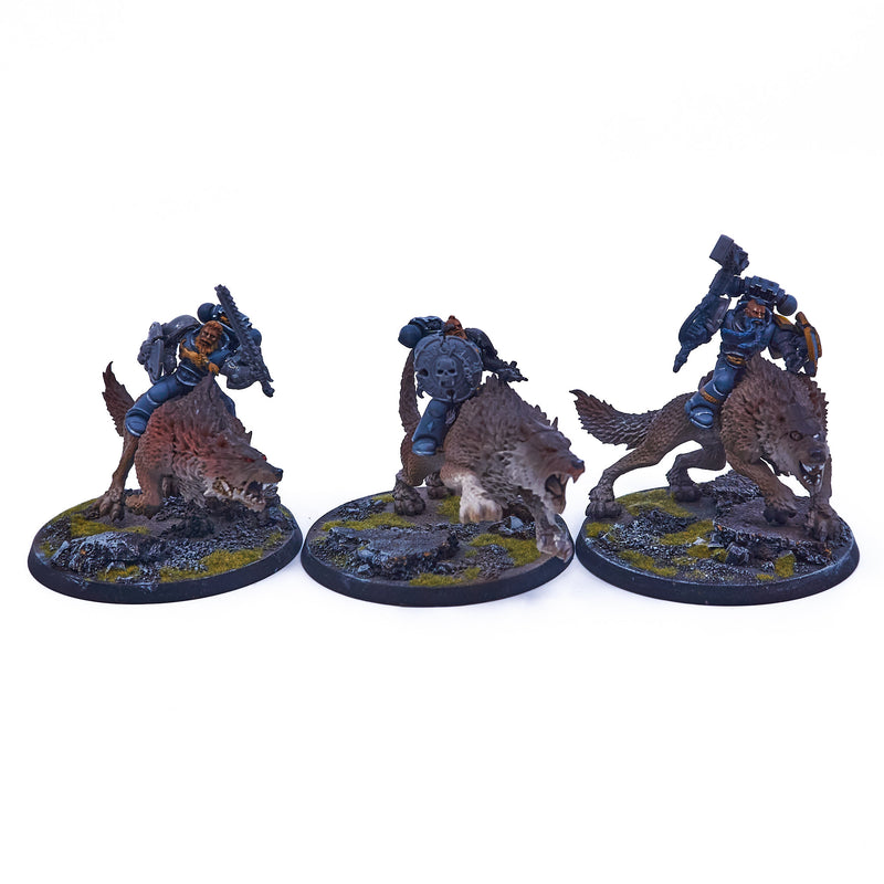 Space Wolves - Thunderwolf Cavalry (06956) - Used