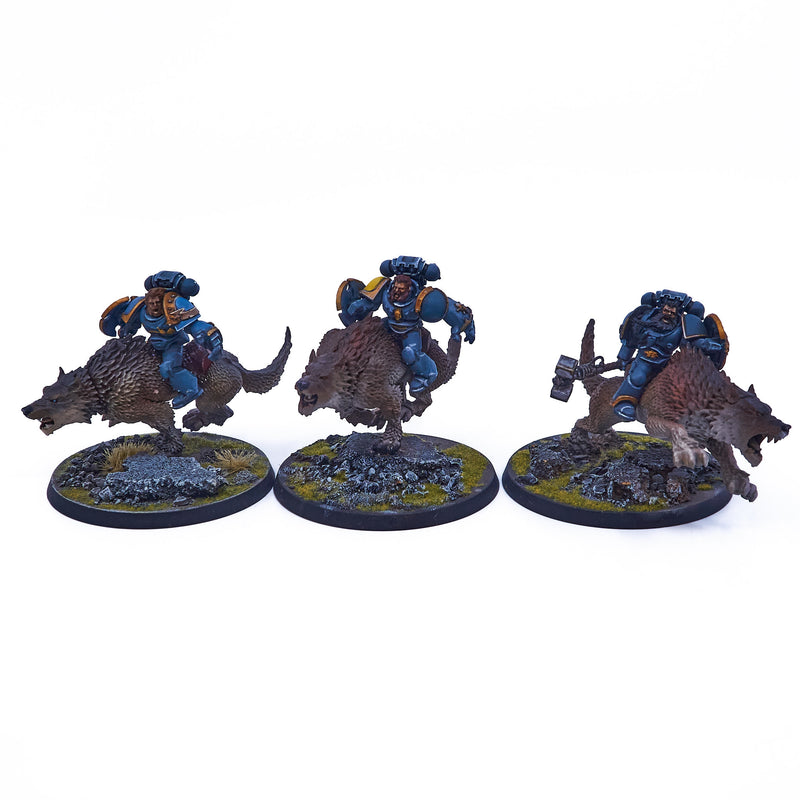 Space Wolves - Thunderwolf Cavalry (06957) - Used