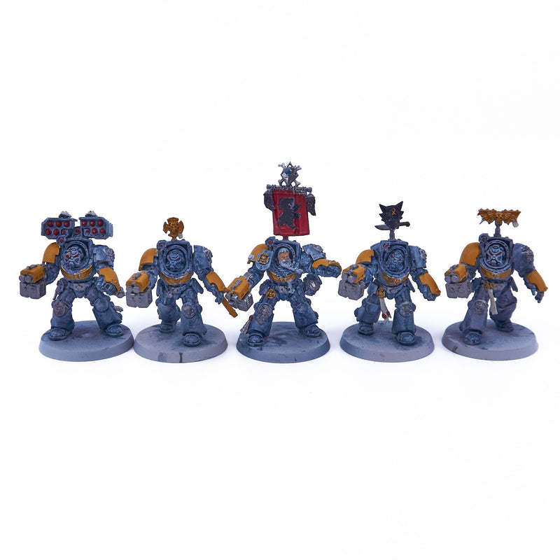 Space Wolves - Terminator Squad (07653) - Used