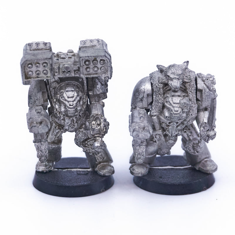 Space Wolves - Terminators (Metal) (07937) - Used