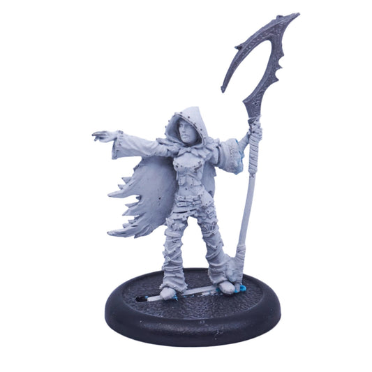 Legion of Everblight - Blighted Nyss Shepherd (Metal) (07943) - Used