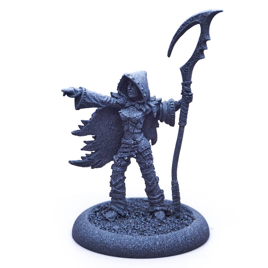 Legion of Everblight - Blighted Nyss Shepherd (Metal) (07965) - Used