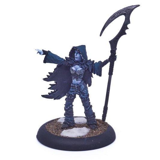 Legion of Everblight - Blighted Nyss Shepherd (Metal) (07967) - Used