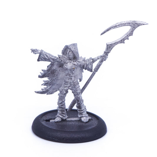 Legion of Everblight - Blighted Nyss Shepherd (Metal) (08016) - Used