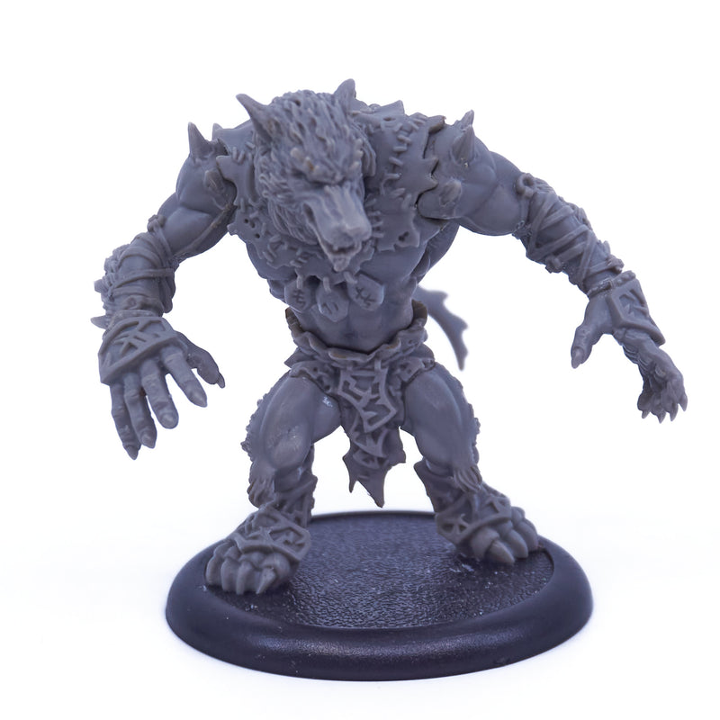 Circle Orboros - Feral Warpwolf (08075) - Used