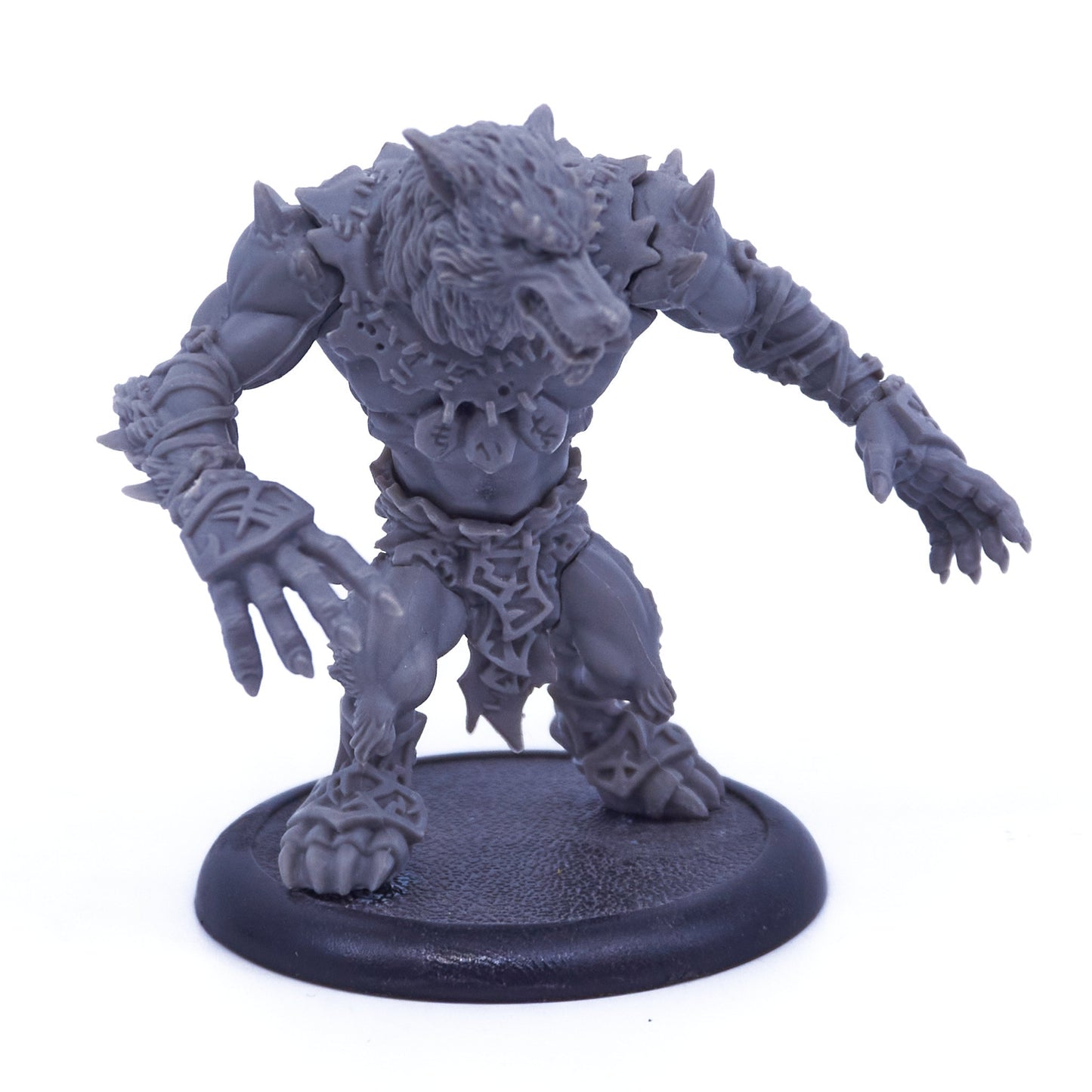 Circle Orboros - Feral Warpwolf (08076) - Used