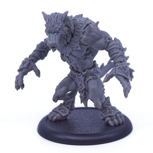 Circle Orboros - Feral Warpwolf (08077) - Used