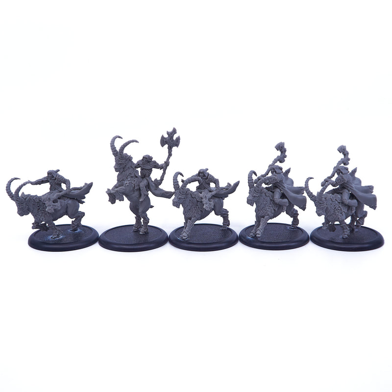 Circle Orboros - Druid Mist Riders (08080) - Used