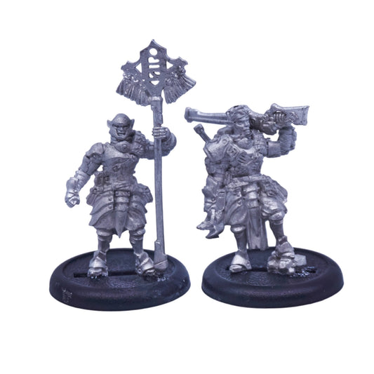 Retribution of Scyrah - Houseguard Rifleman Officer & Standard Bearer (Metal) (08336) - Used