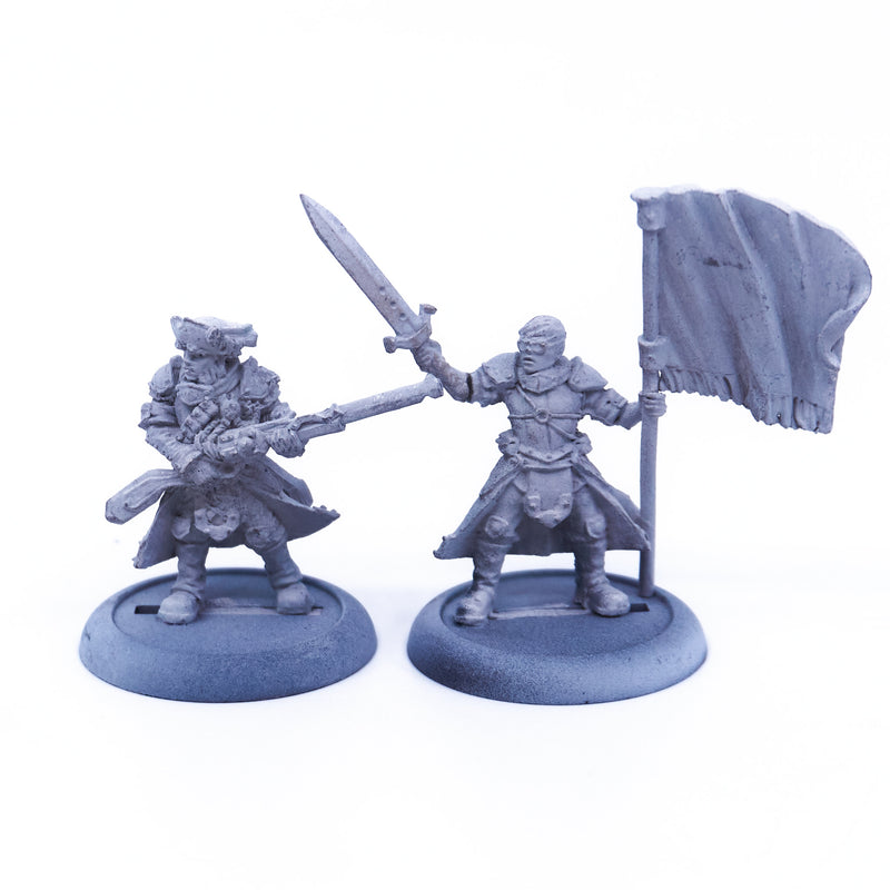 Cygnar - Long Gunner Officer & Standard (Metal) (08361) - Used