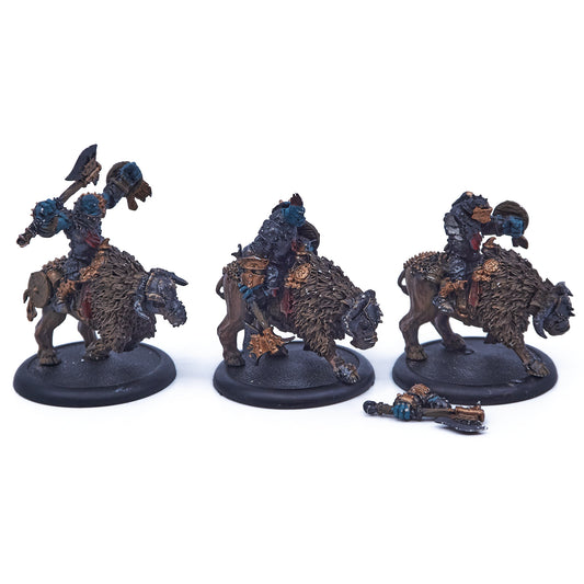 Trollbloods - Trollkin Long Riders (08650) - Used