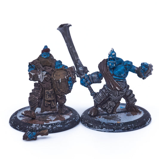 Trollbloods - Fennblade Officer and Drummer (08651) - Used