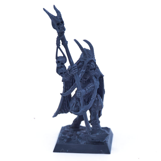 Beasts of Chaos - Great Bray Shaman (08705) - Used