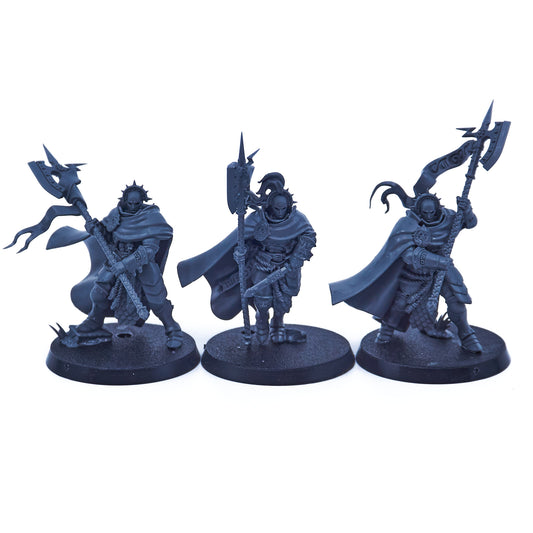 Stormcast Eternals - Praetors (08724-V) - Used