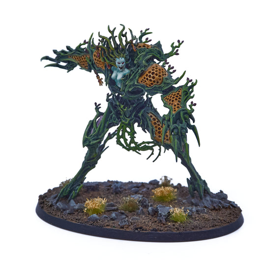 Sylvaneth - Drycha Hamadreth (08934-V) - Used