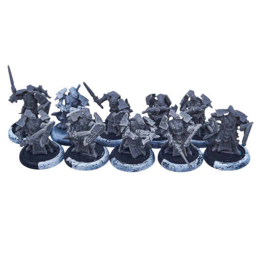 The Protectorate of Menoth - Exemplar Errants Unit (09061) - Used