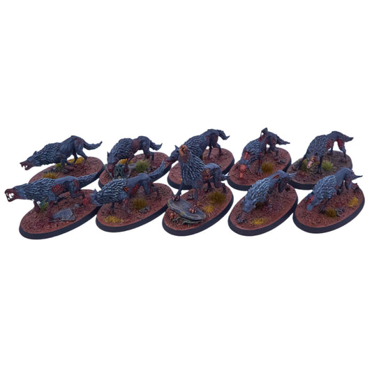 Soulblight Gravelords - Dire Wolves (09484) - Used