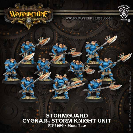 Stormguard Storm Knight (Plastic) - pip31099