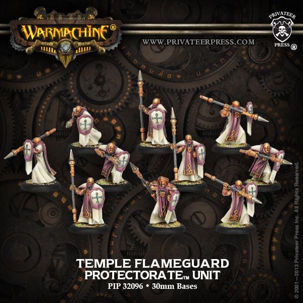 Temple Flameguard Unit (10) (Plastic) - pip32096