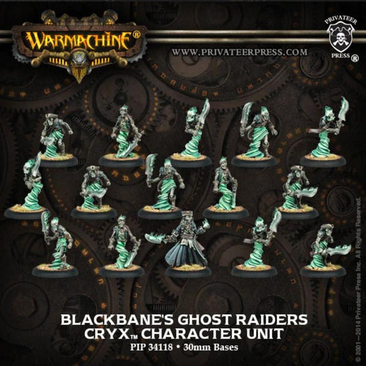 Blackbane's Ghost Raiders (Metal) (15) - pip34118