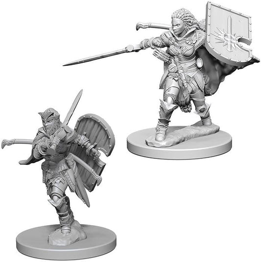 Pathfinder Unpainted Minis - Human Female Paladin ( 72607 )