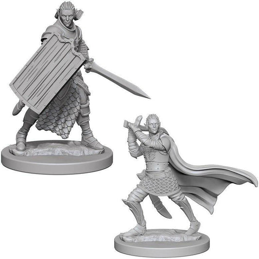 Pathfinder Unpainted Minis - Elf Male Paladin ( 72608 )