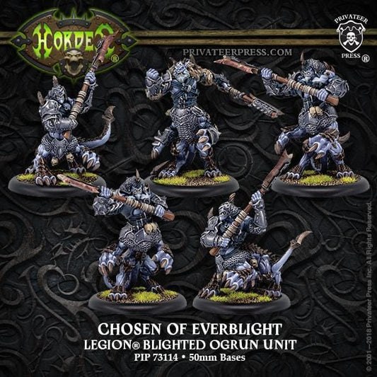 Chosen Of Everblight Cavalry Unit Box - pip73114