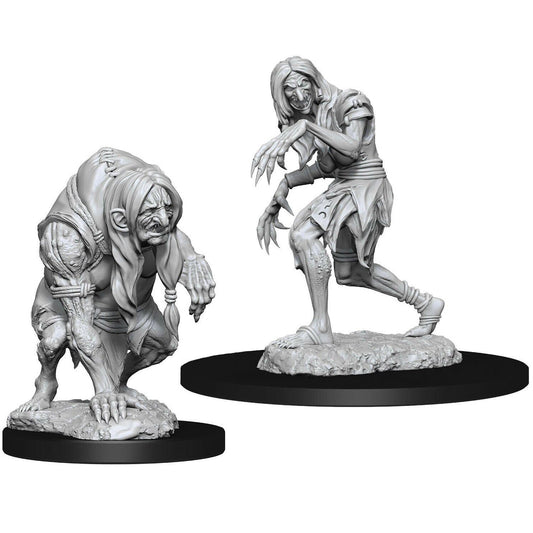 Pathfinder Unpainted Minis - Annis Hag and Green Hag ( 90266 )