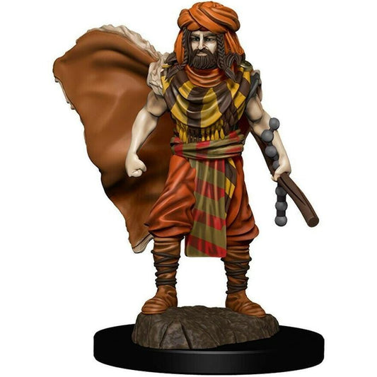 D&D Premium Figures - Human Male Druid ( 93031 )