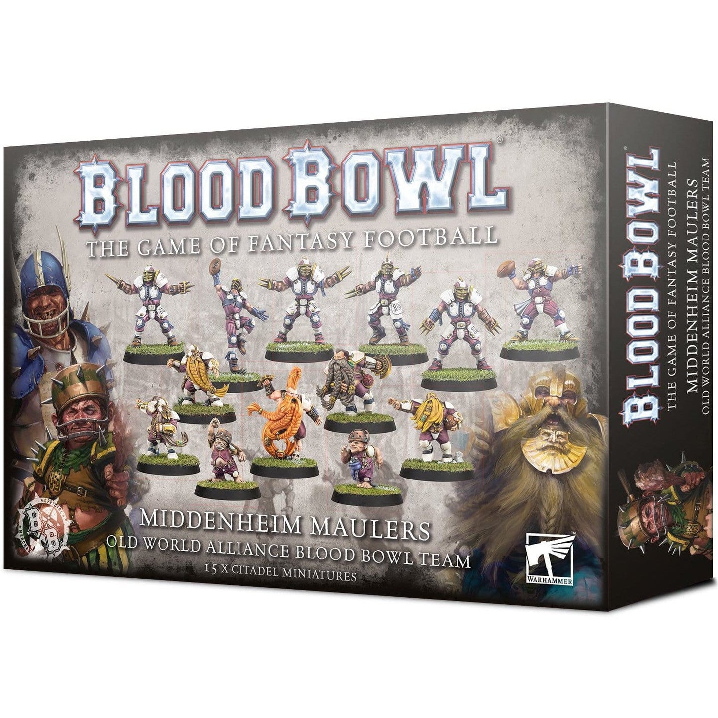 Blood Bowl Team - The Middenheim Maulers Team ( 202-05-N ) - Used