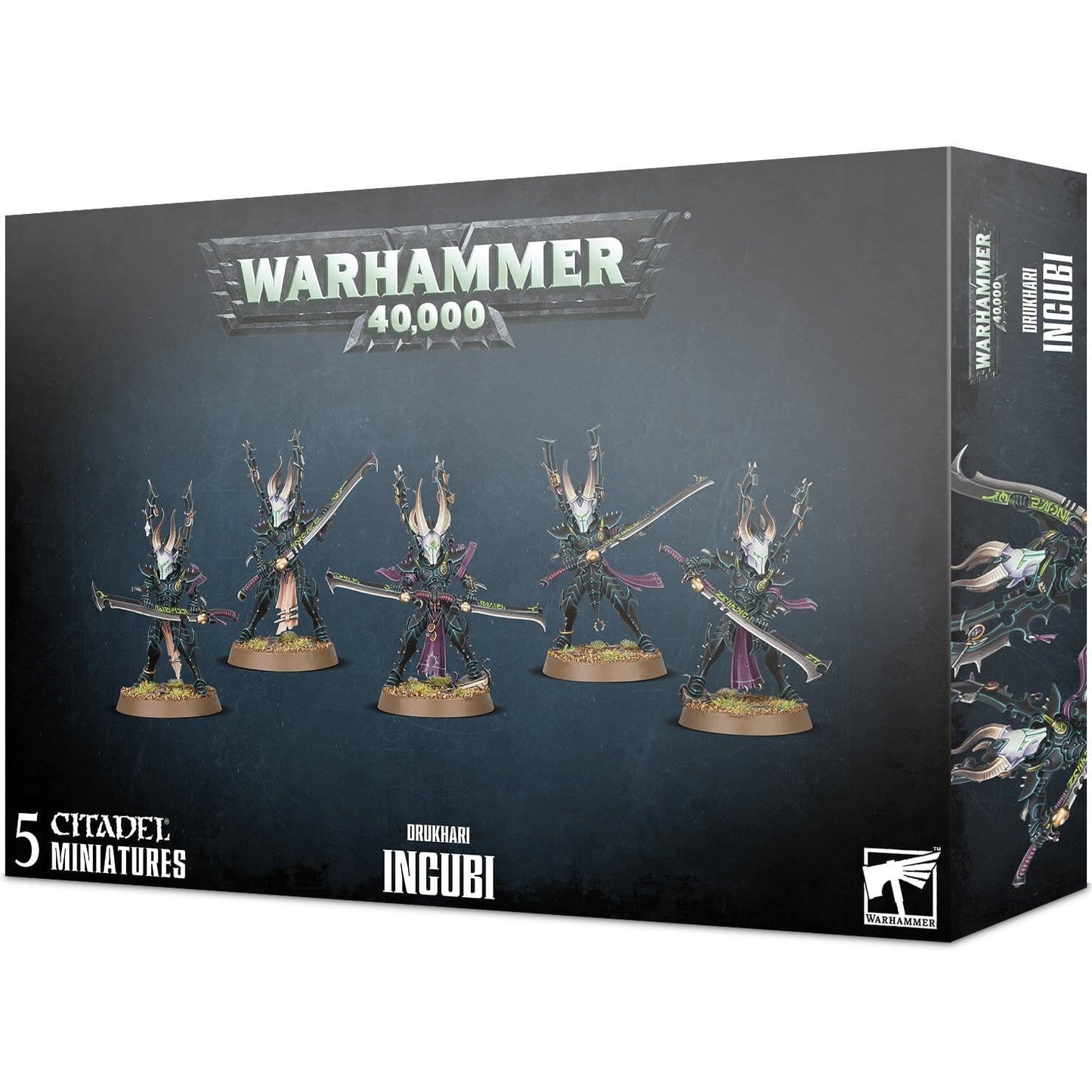 Drukhari Incubi ( 45-40 )