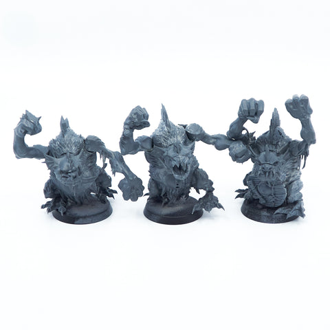 Gloomspite Gitz (Used)