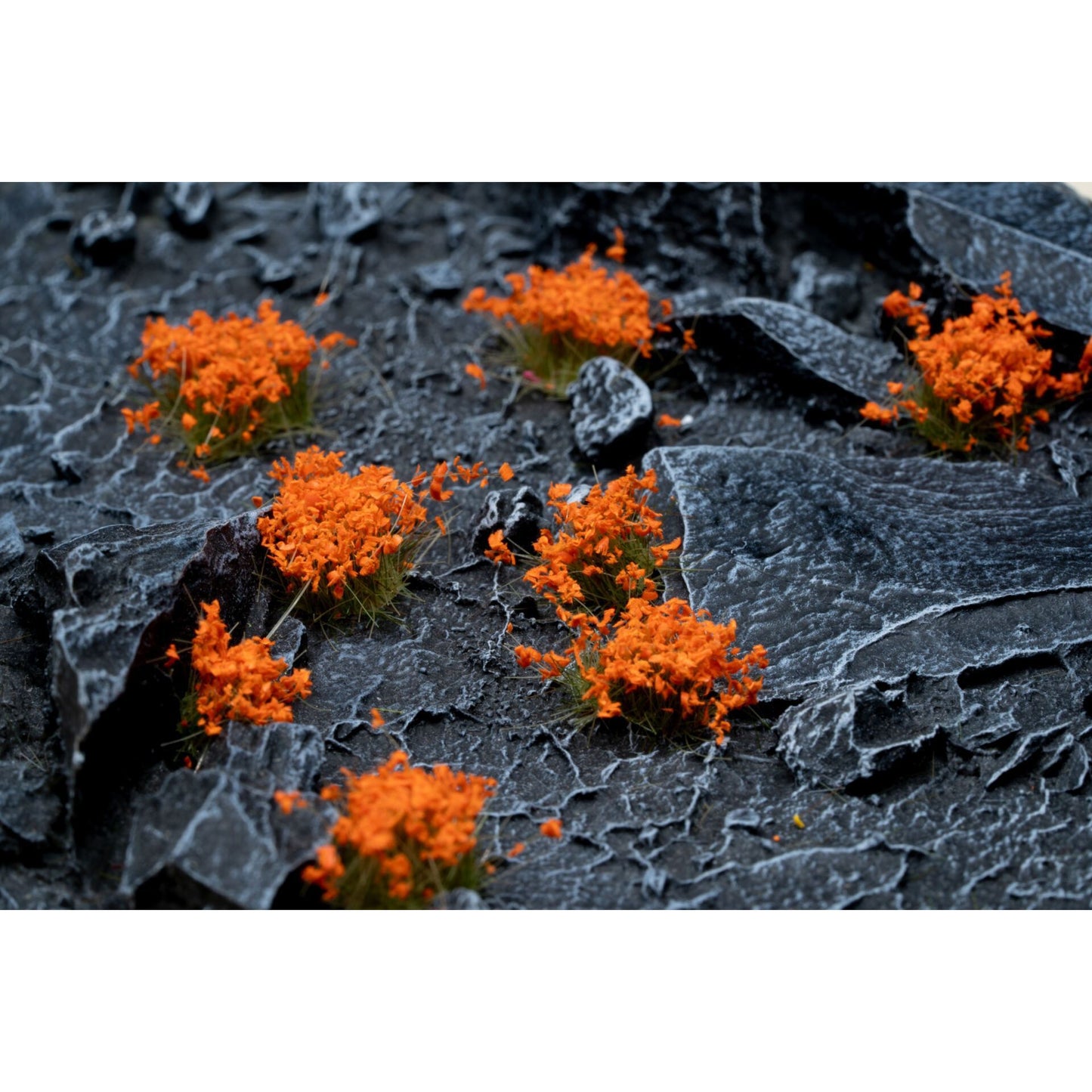 Gamers Grass Flower - Orange Flowers ( GGF-OR )