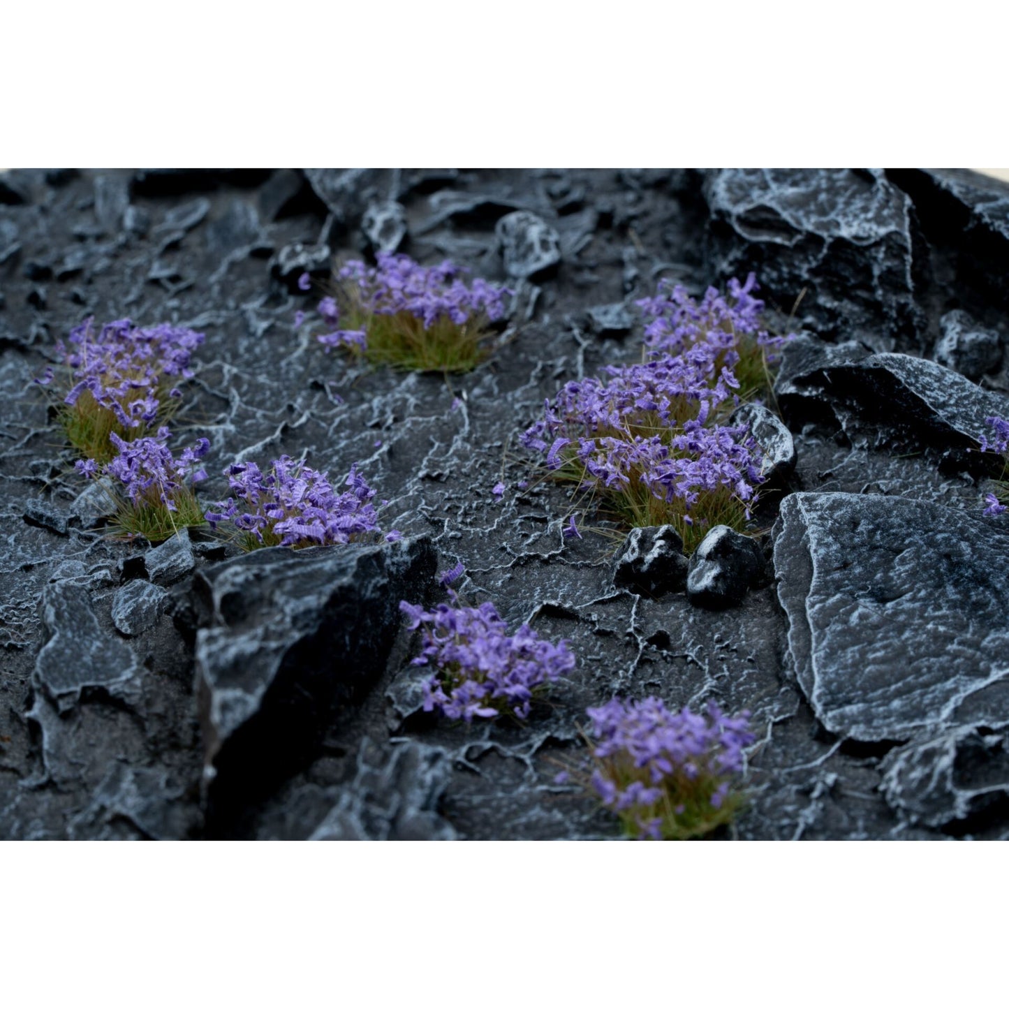 Gamers Grass Flower - Violet Flowers ( GGF-VI )