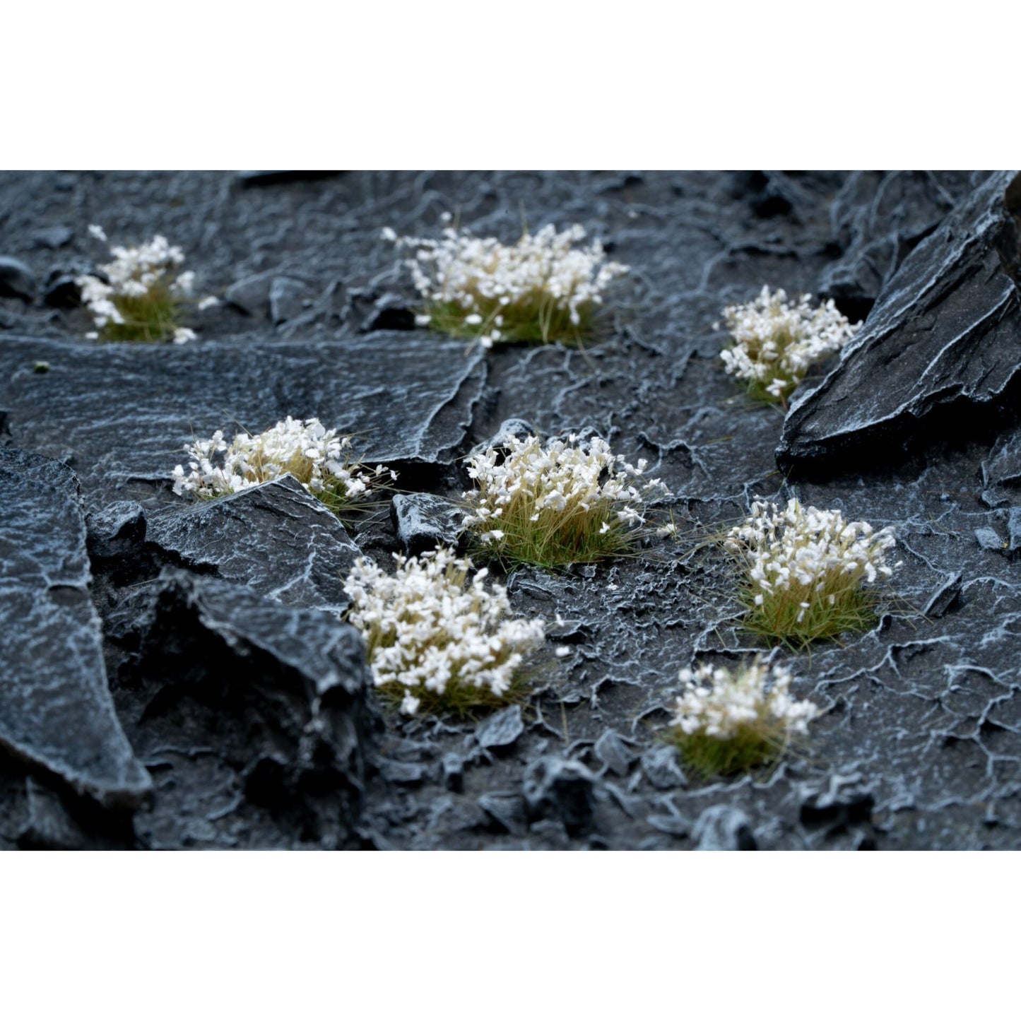 Gamers Grass Flower - White Flowers ( GGF-WH )