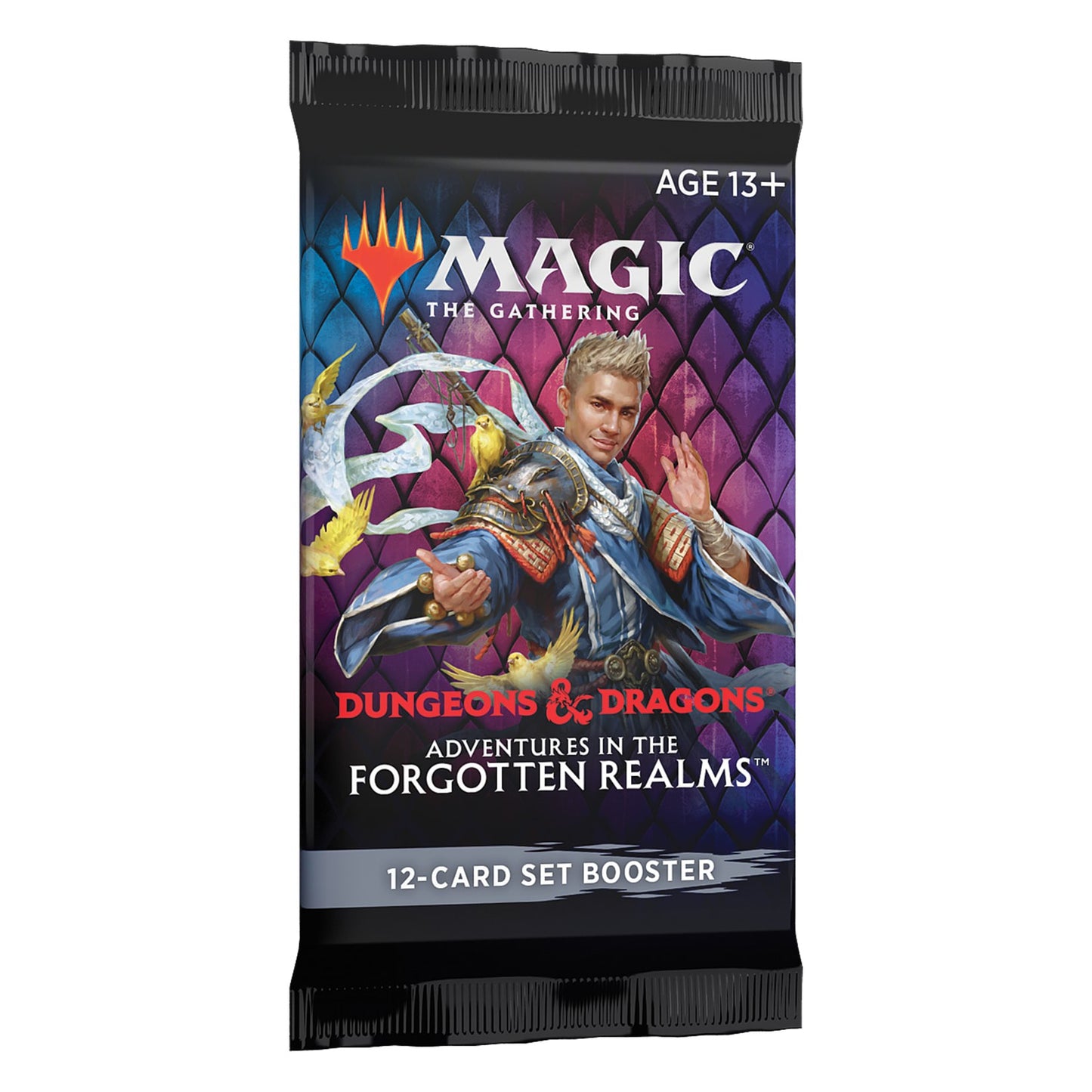 Adventures in the Forgotten Realms Set Booster Pack