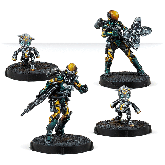 Yu Jing Tian Gou, Orbital Activity Squad (281330)