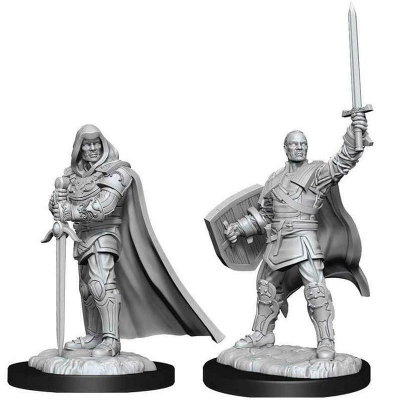 D&D Unpainted Minis - Human Male Paladin ( 90136 )